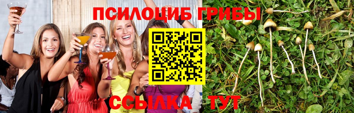Галлюциногенные грибы прущие грибы Шахты