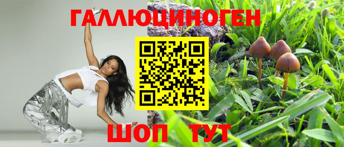 Шахты  Псилоцибиновые грибы GOLDEN TEACHER  Вход с VPN 